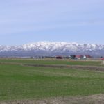 【雑記】ヨドバシカメラのアウトドアコーナーはお買い得?